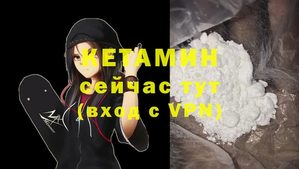 индика Няндома