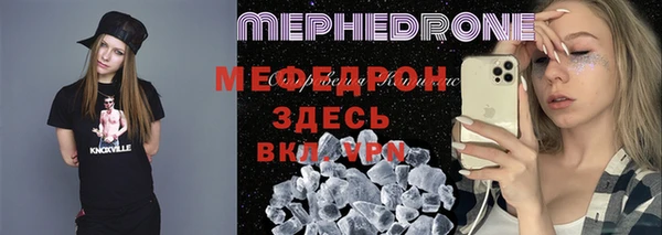 индика Няндома