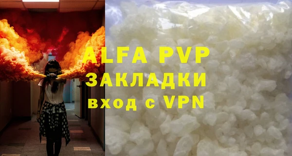 индика Няндома
