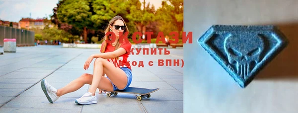 индика Няндома