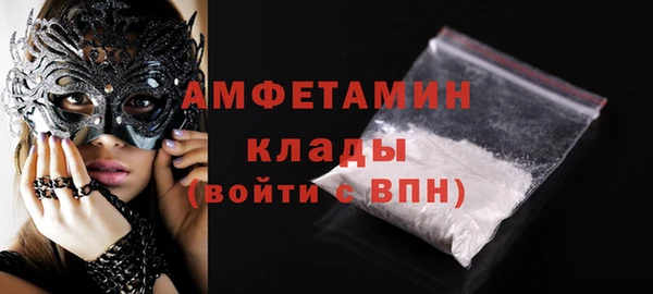 индика Няндома