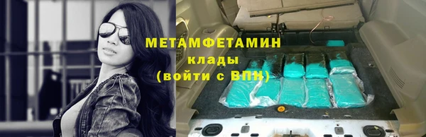 индика Няндома