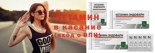 индика Няндома