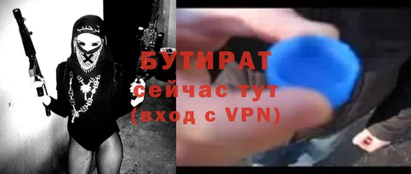 индика Няндома