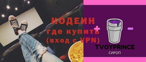 индика Няндома