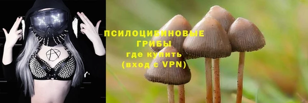 индика Няндома