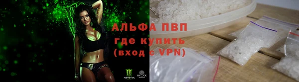 индика Няндома
