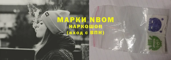 индика Няндома