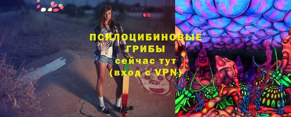 индика Няндома