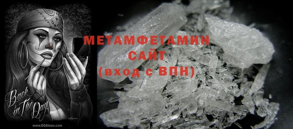 индика Няндома