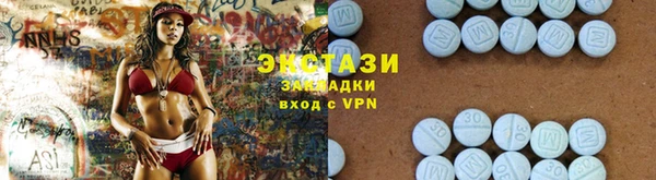 индика Няндома
