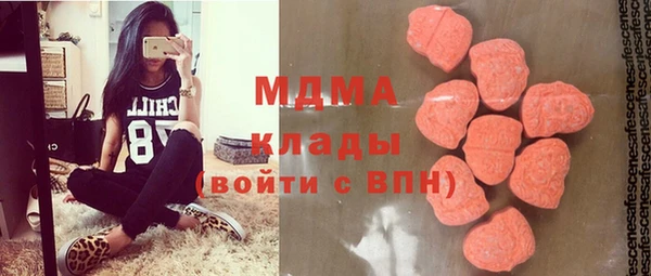 индика Няндома