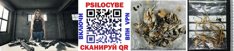 Псилоцибиновые грибы GOLDEN TEACHER  Сергач 